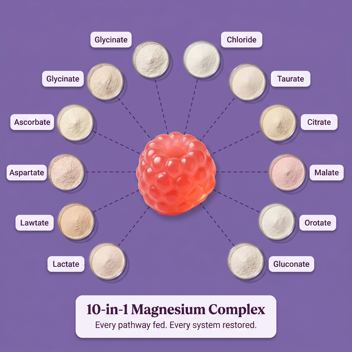 10-in-1 Magnesium Complex — 10 forms targeting 10 biological pathways